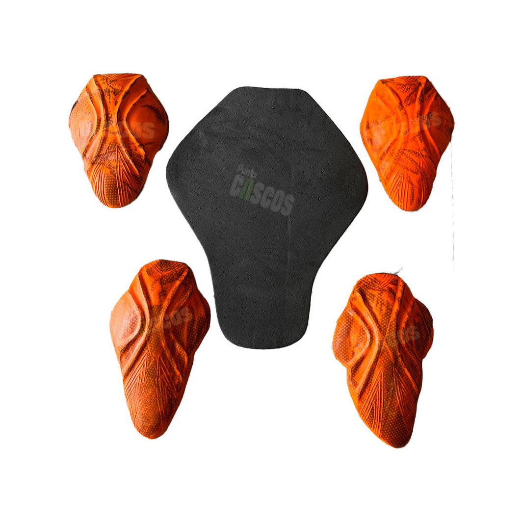 Chaqueta protección Certificada Giacomo Winter Mujer Morado